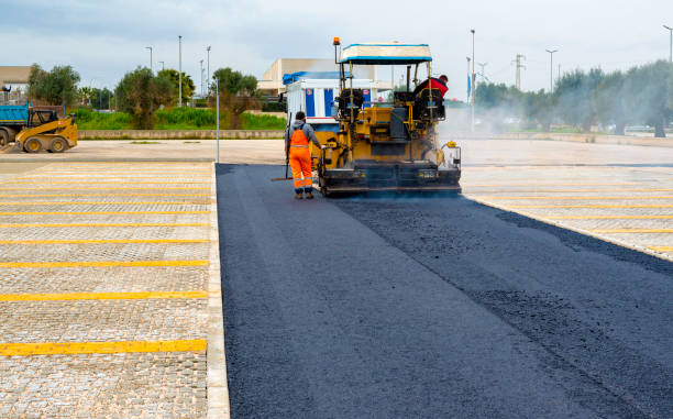 Best Decorative Driveway Pavers  in Lemmon Valley, NV