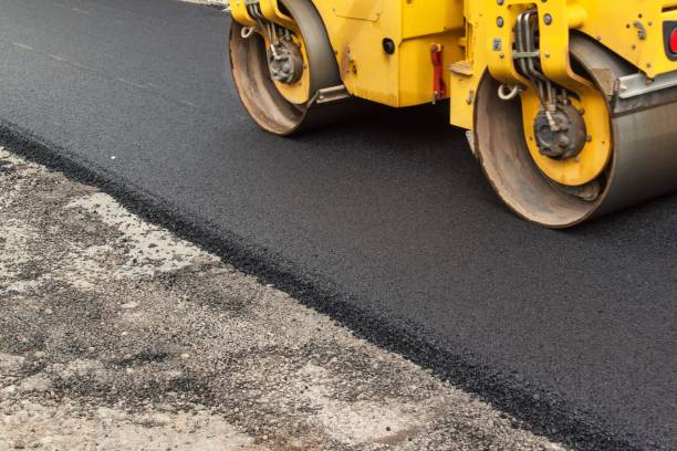 Best Local Driveway Pavers  in Lemmon Valley, NV